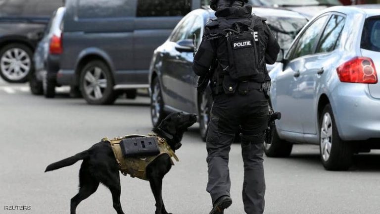 كلب الشرطة الهولندية “الابرادور” يلفت الأنظار