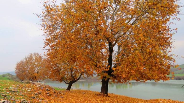 اقليم كردستان يستقبل غدا اول ايام فصل الخريف